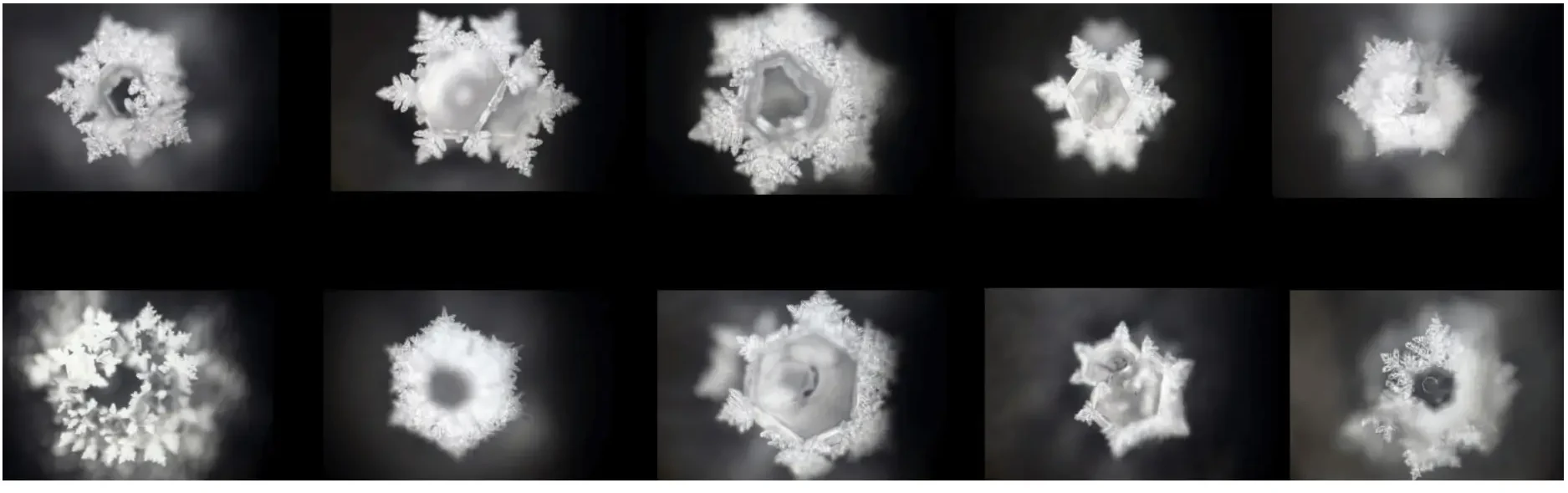 EMOTO